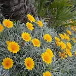 アパートホテル Piani サン·ヴィンチェンツォ