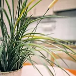 Piani アパートホテル サン·ヴィンチェンツォ