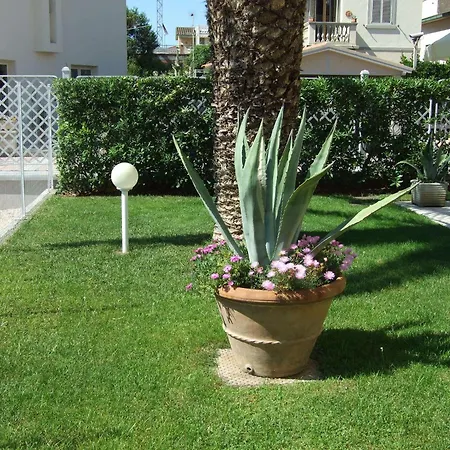 شقة فندقية Piani 3*