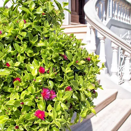 Aparthotel Piani San Vincenzo